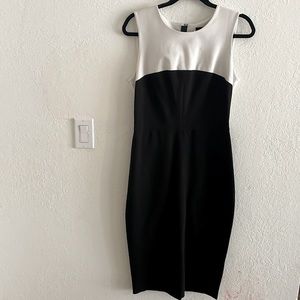 Limited Edition Banana Republic Black and White Dress
